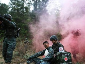 野外冲击战刘峰出装攻略（穿越荒野，战无不胜！）