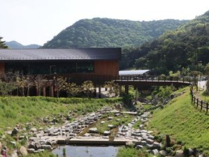 逃离亚洲寺庙（一场关于自由的精神之旅）