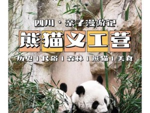 熊猫人之怒攻略（以熊猫人之怒为背景的游戏攻略，助你在战斗中取得胜利）