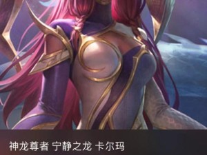 《以扇子妈手游技能加点攻略》（掌握最佳技能加点，提升战斗力！）