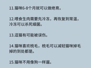 《猫来了攻略苹果，玩转游戏乐趣》（用“猫来了”App揭开苹果游戏新天地）