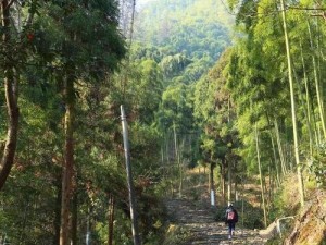 《新笑傲江湖》仙霞岭恶难赦奇遇流程详解（华山派恩怨情仇，身世之谜揭开，探秘仙霞岭，遇见恶难赦）