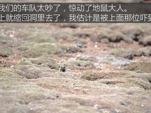 通天河底挑战攻略（探索通天河底的秘密，解锁无尽冒险）