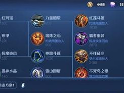 共创模式下伽罗出装攻略（揭秘共创模式中伽罗的最佳出装方案，助你轻松击败对手）
