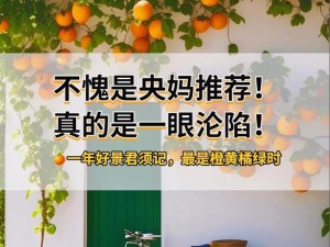 橘子感官手游攻略（用你的感官去发现橘子世界，释放你的味觉、嗅觉、视觉！）