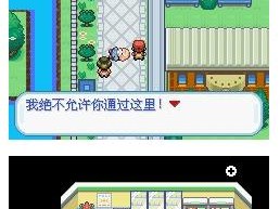 口袋妖怪梦的光攻略（成为口袋妖怪大师，战胜所有挑战！）