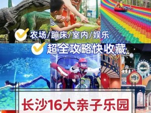 游戏最强大脑2攻略（挑战自我，超越极限！）