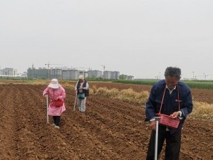 攻克花生镇的困难之路（探索花生镇，挑战未知）