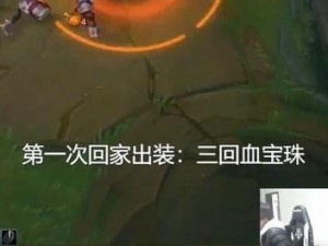 变态诺克出装攻略（解析诺克的出装方式，提升你的游戏实力）
