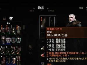 《巫师3技能选择攻略》（如何优化角色技能分配，成为顶级猎魔人）