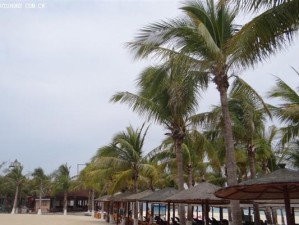 《碧海蓝天攻略——畅享梦幻手游7区的奇遇与冒险》（解锁7区新玩法，尽享碧海蓝天）
