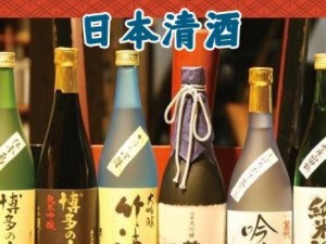 《以食之契约清酒》游戏中的经典语录（探寻清酒的秘密，体验最美味的游戏冒险）