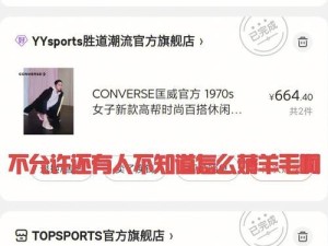 兽王出装攻略（针对学生党玩家的兽王出装技巧及打法分析）